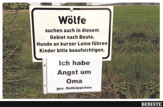 Wölfe.. suchen auch im diesen Gebiet.. - Lustige Bilder | DEBESTE.de