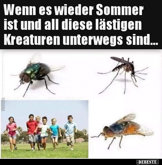 Wenn es wieder Sommer ist und all diese lästigen Kreaturen.. - Lustige Bilder | DEBESTE.de