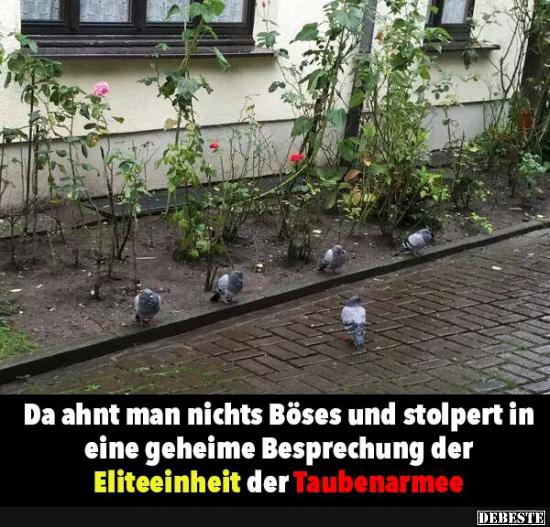 Da ahnt man nichts Böses und stolpert.. - Lustige Bilder | DEBESTE.de