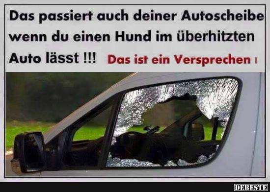 Das passiert auch deiner Autoscheibe.. - Lustige Bilder | DEBESTE.de
