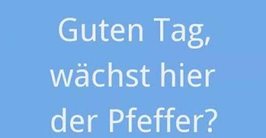 Guten Tag, wächst hier der Pfeffer? Lustige Bilder, Sprüche, Witze