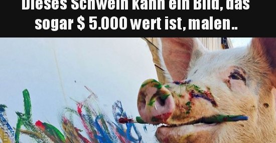 43++ Sprueche idioten , Dieses Schwein kann ein Bild, das sogar 5.000 wert ist.. Lustige Bilder, Sprüche, Witze