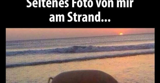 32++ Strand sprueche , Seltenes Foto von mir am Strand.. Lustige Bilder, Sprüche, Witze, echt lustig