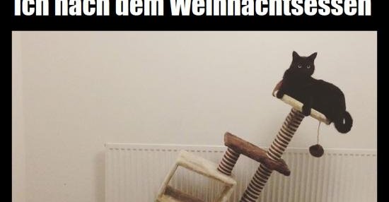 Ich nach dem Weihnachtsessen.. | Lustige Bilder, Sprüche, Witze, echt