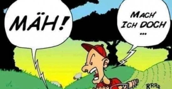 Mäh! Lustige Bilder, Sprüche, Witze, echt lustig