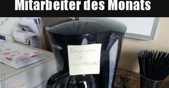 Mitarbeiter des Monats.. | Lustige Bilder, Sprüche, Witze, echt lustig