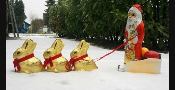 41++ Ostern lustige sprueche bilder info