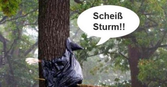 43++ Wind sturm sprueche , Scheiß Sturm!! Lustige Bilder, Sprüche, Witze, echt lustig