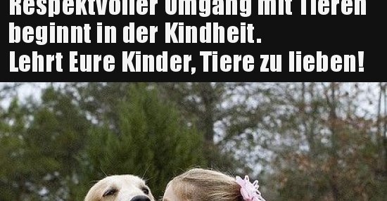 37++ Kinder und tiere sprueche , Respektvoller Umgang mit Tieren beginnt in der.. Lustige Bilder, Sprüche, Witze, echt lustig