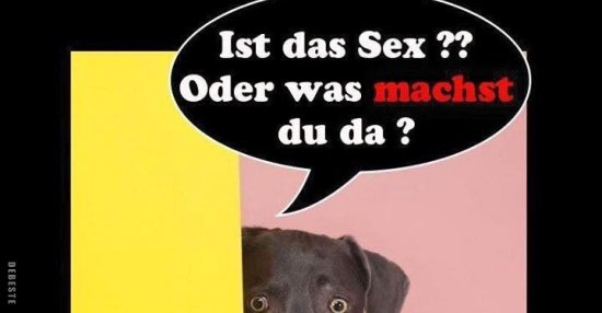 Ist Das Sex Oder Was Machst Du Da Lustige Bilder Sprüche Witze