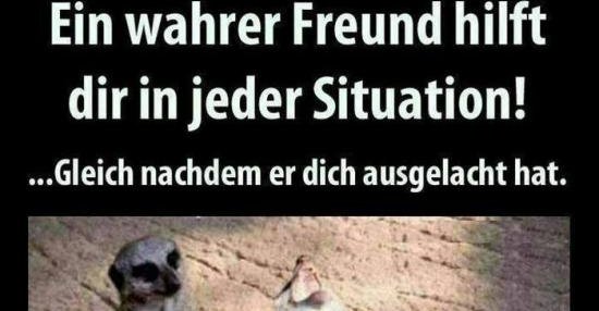 Ein Wahrer Freund