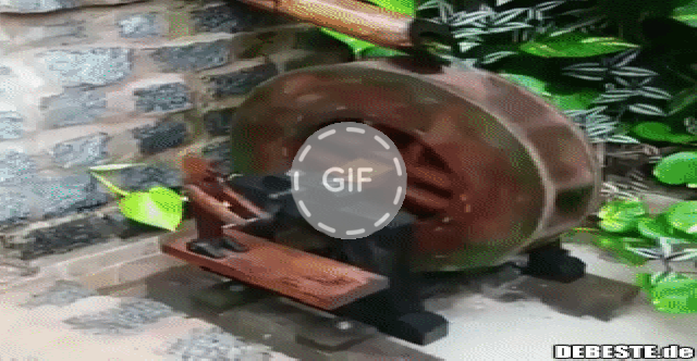 Wochenende steht vor der Tür.. | Lustige Bilder, Sprüche, Witze, echt