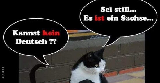 Kannst kein Deutsch? | Lustige Bilder, Sprüche, Witze, echt lustig