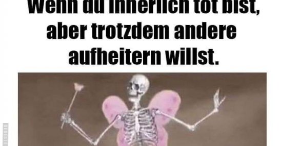 Wenn Du Innerlich Tot Bist Aber Trotzdem Andere Aufheitern Willst Lustige Bilder Sprüche 