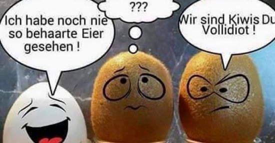 Ich habe noch nie so behaarte Eier gesehen! | Lustige Bilder, Sprüche