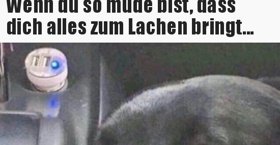 Lachen Bringen Lustige Bilder Sprüche Totlachen