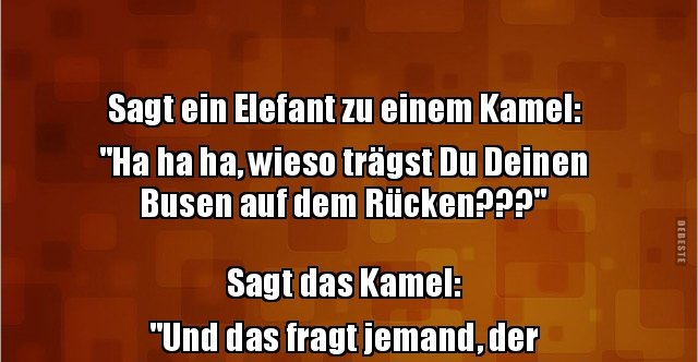 33++ Lustige frauen sprueche bilder , Sagt ein Elefant zu einem Kamel &quot;Ha ha ha, wieso trägst..&quot; Lustige Bilder, Sprüche, Witze