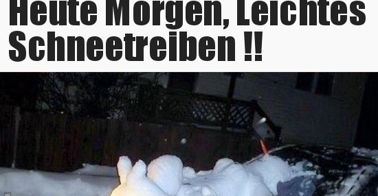 Heute Morgen, Leichtes Schneetreiben! | Lustige Bilder, Sprüche, Witze