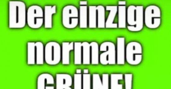 Der Einzige Normale Grüne Lustige Bilder Sprüche Witze Echt Lustig 