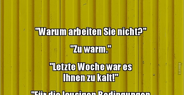 37+ Bilder lustige sprueche , &quot;Warum arbeiten Sie nicht?&quot; &quot;Zu warm.&quot;.. Lustige Bilder, Sprüche, Witze, echt lustig