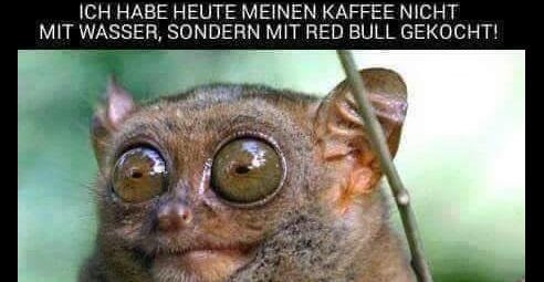 Ich habe heute meinen Kaffee nicht mit Wasser.. | Lustige Bilder