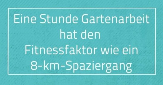 37++ Einfach mal die fresse halten sprueche , Eine Stunde Gartenarbeit hat den Fitnessfaktor.. Lustige Bilder, Sprüche, Witze, echt lustig