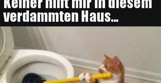 Keiner hilft mir in diesem verdammten Haus... Lustige Bilder, Sprüche