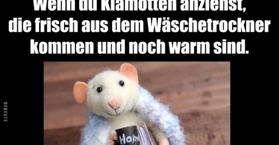 33++ Lustige sprueche bilder tiere , Wenn du Klamotten anziehst, die frisch aus dem Wächentrockner.. Lustige Bilder, Sprüche, Witze