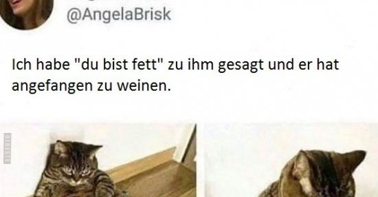 Ich habe "du bist fett" zu ihm gesagt und er hat angefangen zu weinen