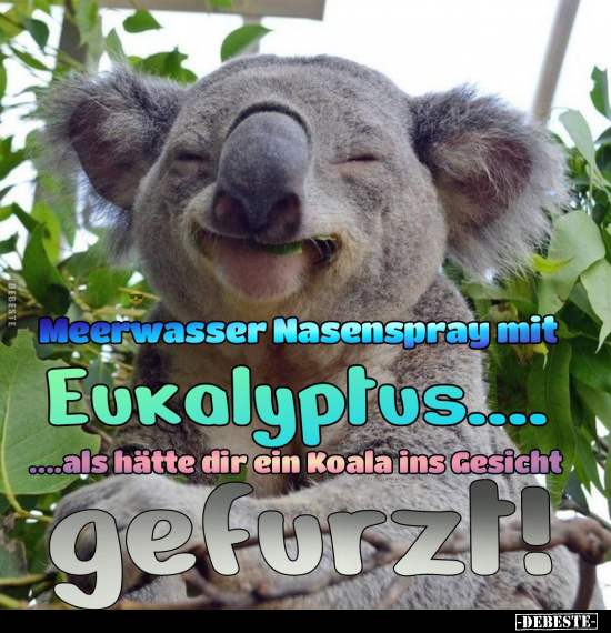 Meerwasser Nasenspray mit Eukalyptus... - Lustige Bilder | DEBESTE.de