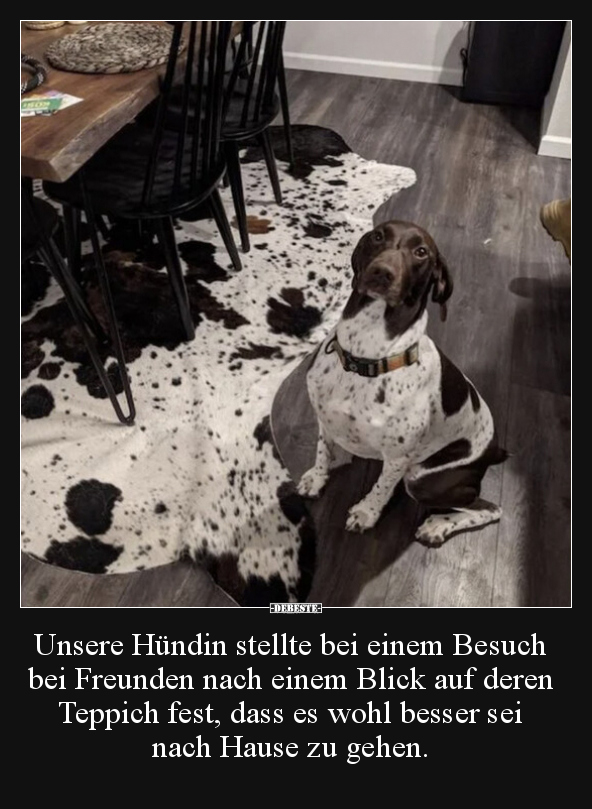 Unsere Hündin stellte bei einem Besuch bei Freunden nach.. - Lustige Bilder | DEBESTE.de