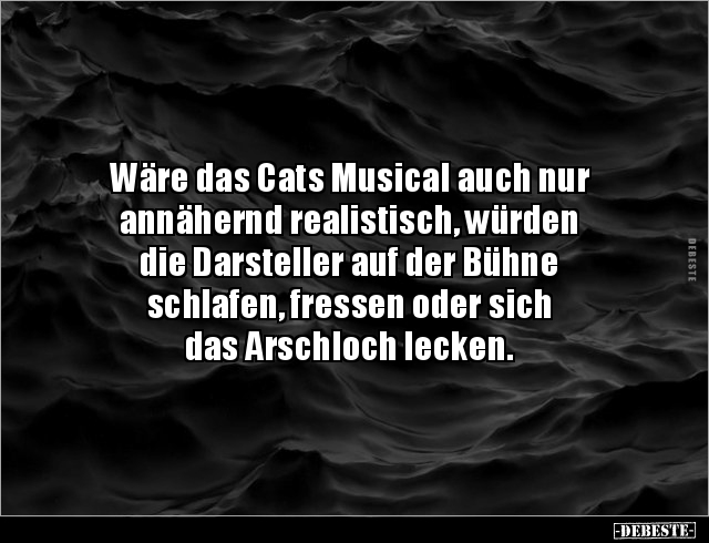 Wäre das Cats Musical auch nur annähernd realistisch.. - Lustige Bilder | DEBESTE.de