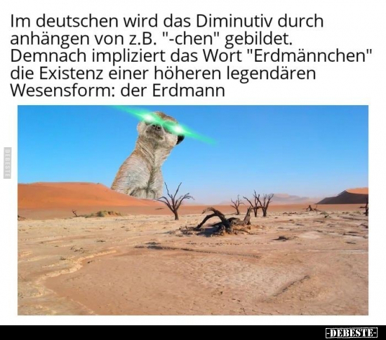 Im deutschen wird das Diminutiv durch anhängen von z.B... - Lustige Bilder | DEBESTE.de
