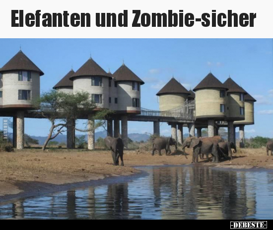 Elefanten und Zombie-sicher.. - Lustige Bilder | DEBESTE.de