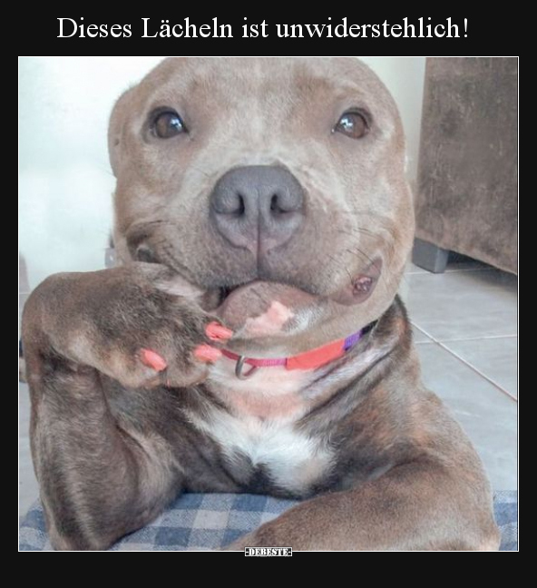 Dieses Lächeln ist unwiderstehlich!.. - Lustige Bilder | DEBESTE.de