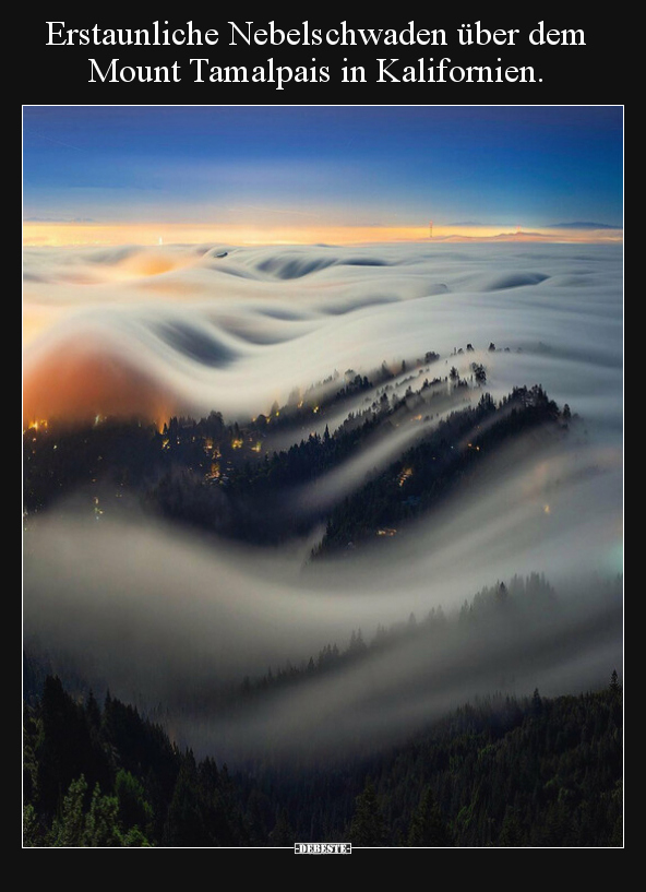 Erstaunliche Nebelschwaden über dem Mount Tamalpais in.. - Lustige Bilder | DEBESTE.de