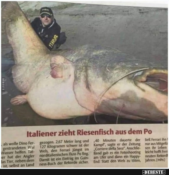 Italiener zieht Riesenfisch aus dem Po.. - Lustige Bilder | DEBESTE.de