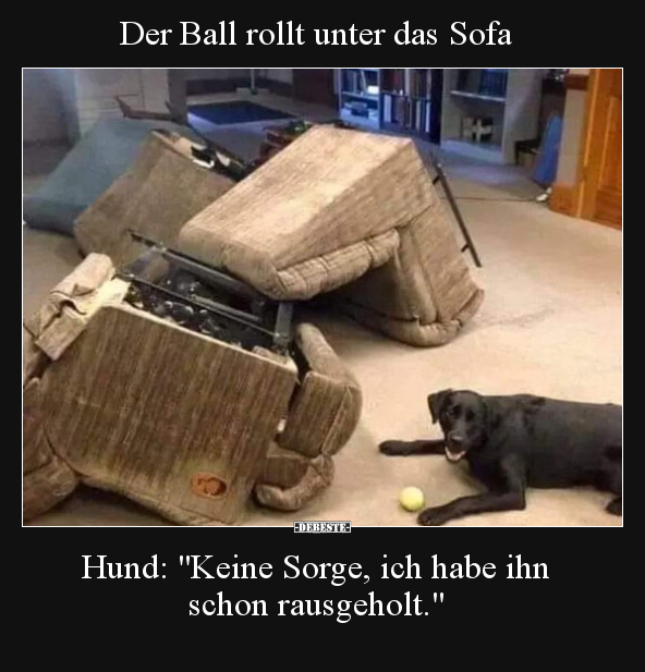Der Ball rollt unter das Sofa. Hund: "Keine Sorge, ich habe.." - Lustige Bilder | DEBESTE.de