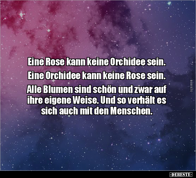 Eine Rose kann keine Orchidee sein.. - Lustige Bilder | DEBESTE.de