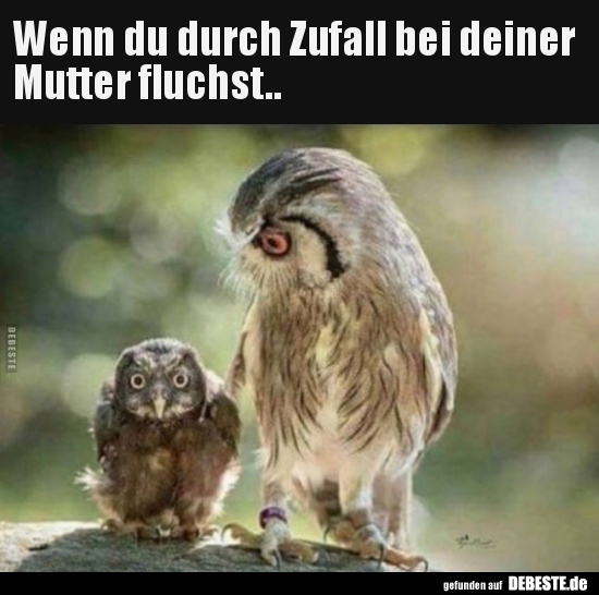 
Wenn du durch Zufall bei deiner Mutter fluchst..
 - Lustige Bilder | DEBESTE.de