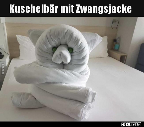 Kuschelbär mit Zwangsjacke.. - Lustige Bilder | DEBESTE.de