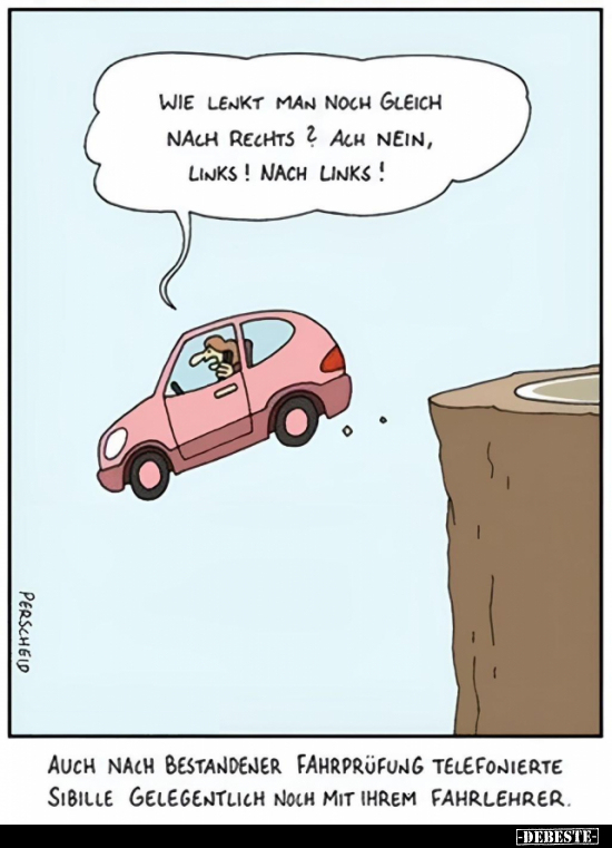 Wie lenkt man noch gleich nach rechts?.. - Lustige Bilder | DEBESTE.de