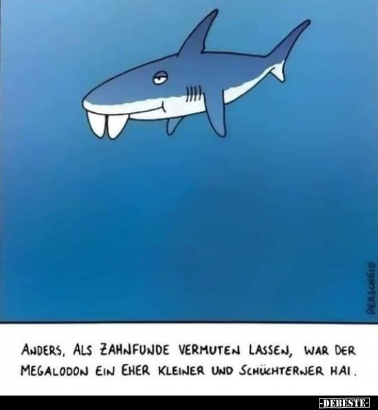 Anders, als Zahnfunde vermuten lassen, war der Megalodon.. - Lustige Bilder | DEBESTE.de