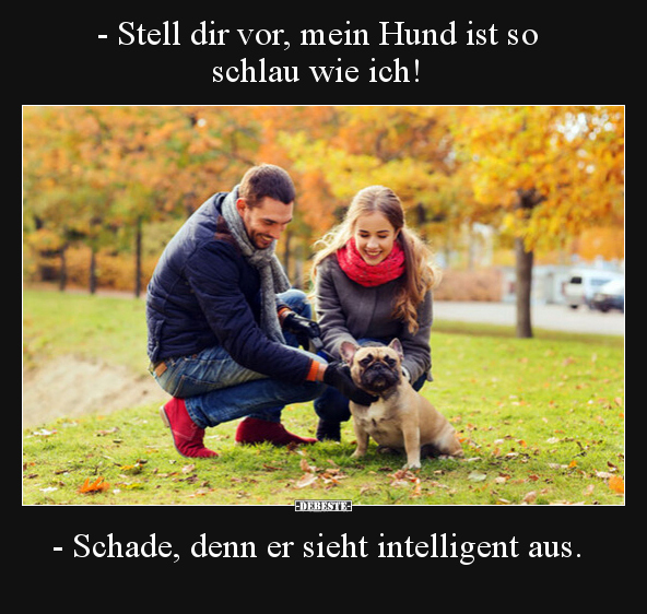- Stell dir vor, mein Hund ist so schlau wie ich!.. - Lustige Bilder | DEBESTE.de