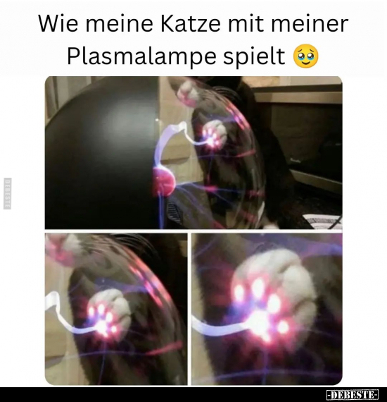 Wie meine Katze mit meiner Plasmalampe spielt.. - Lustige Bilder | DEBESTE.de