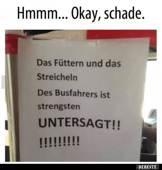 Hmmm... Okay, schade... - Lustige Bilder | DEBESTE.de