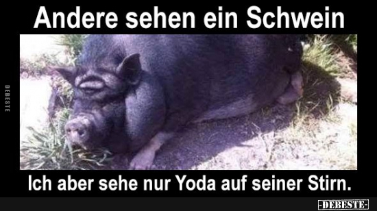 Andere sehen ein Schwein... - Lustige Bilder | DEBESTE.de