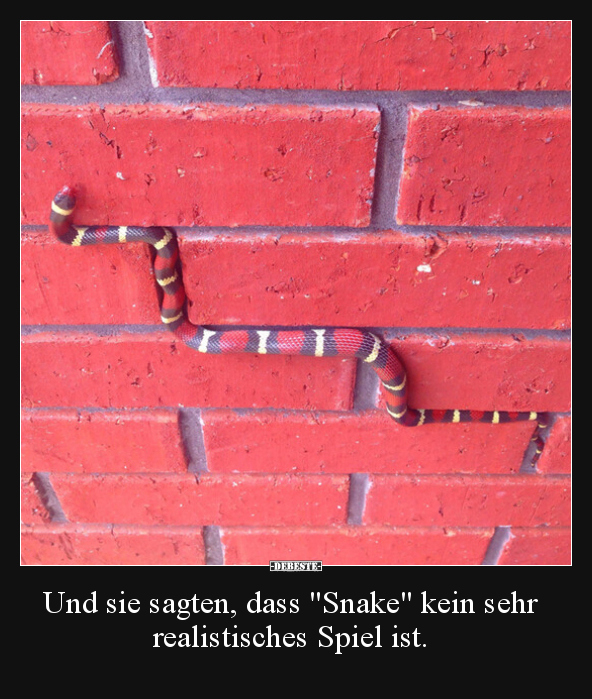 Und sie sagten, dass "Snake" kein sehr realistisches Spiel.. - Lustige Bilder | DEBESTE.de