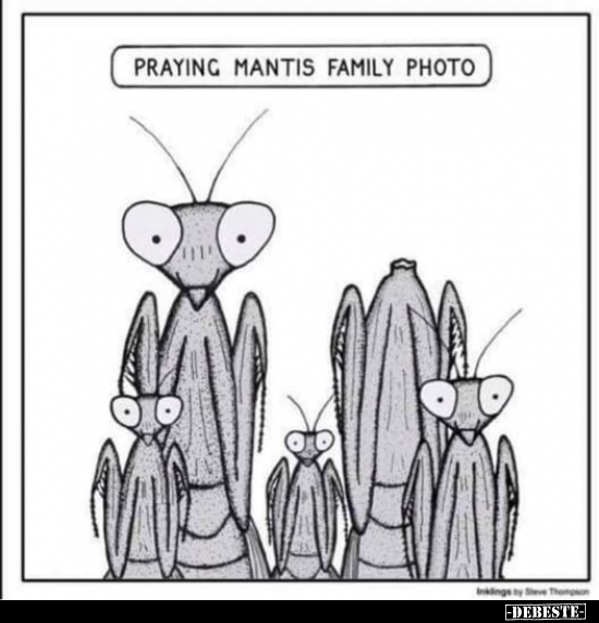 Praying mantis family photo.. - Lustige Bilder | DEBESTE.de