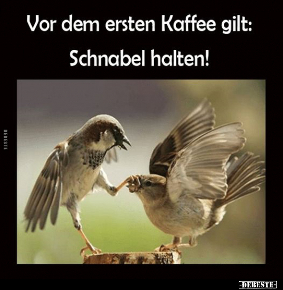 Vor dem ersten Kaffee gilt: Schnabel halten!.. - Lustige Bilder | DEBESTE.de
